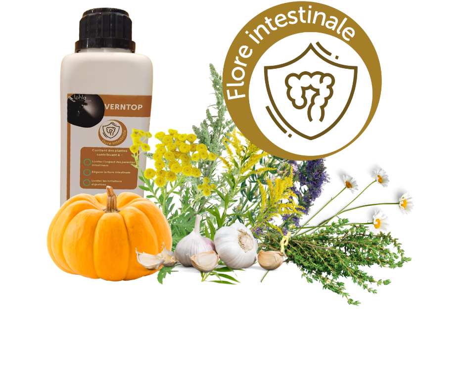 Verntop Liquide
