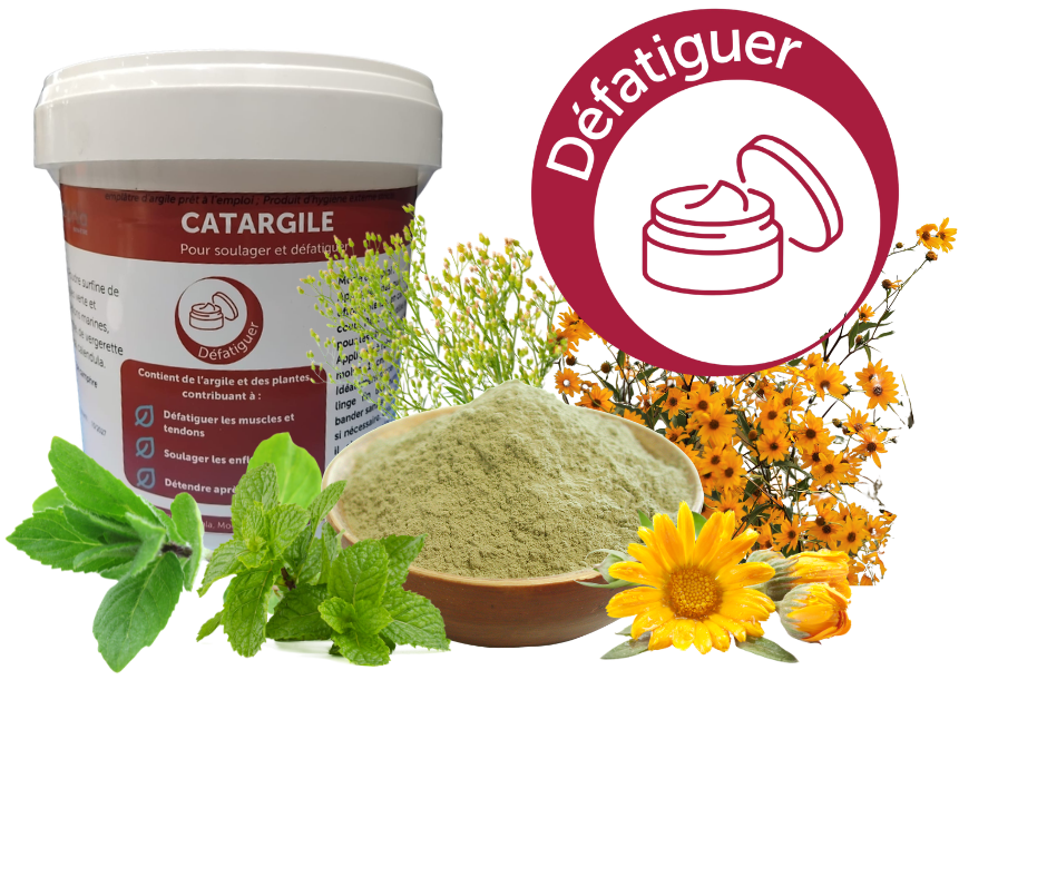Catargile