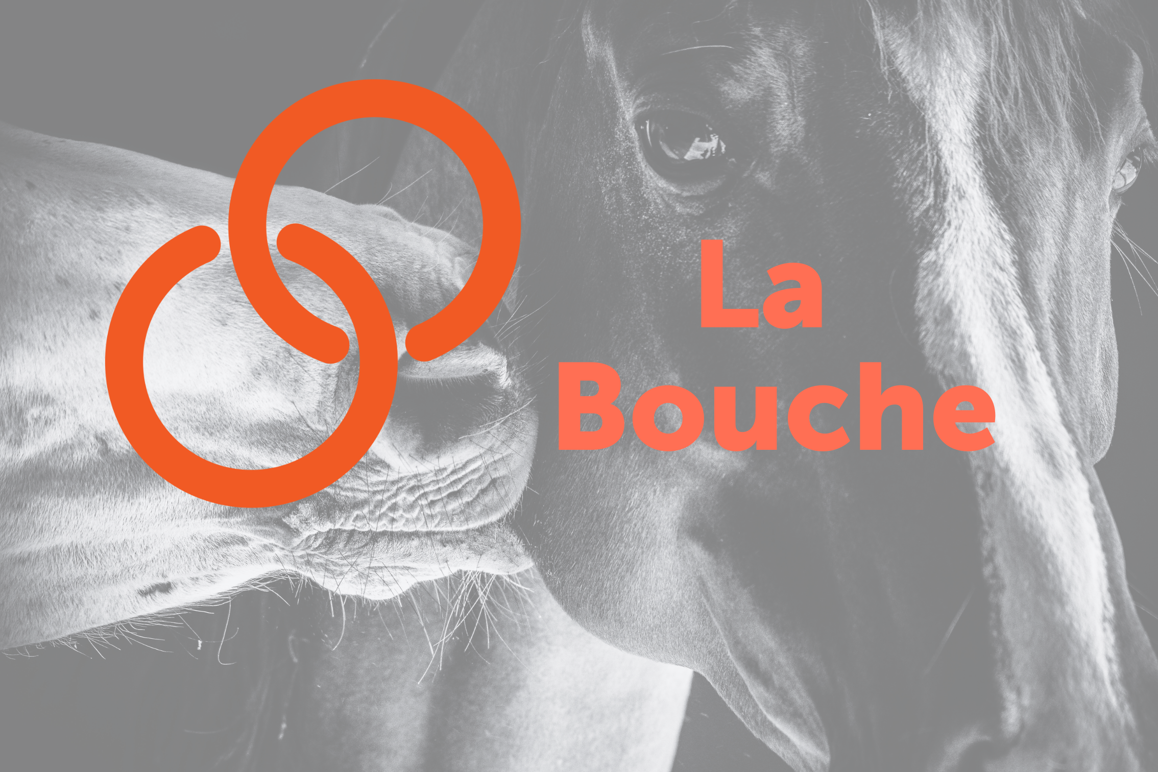 La Bouche