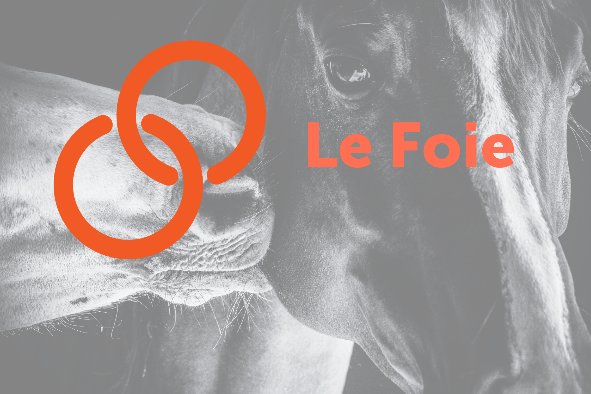 Le Foie