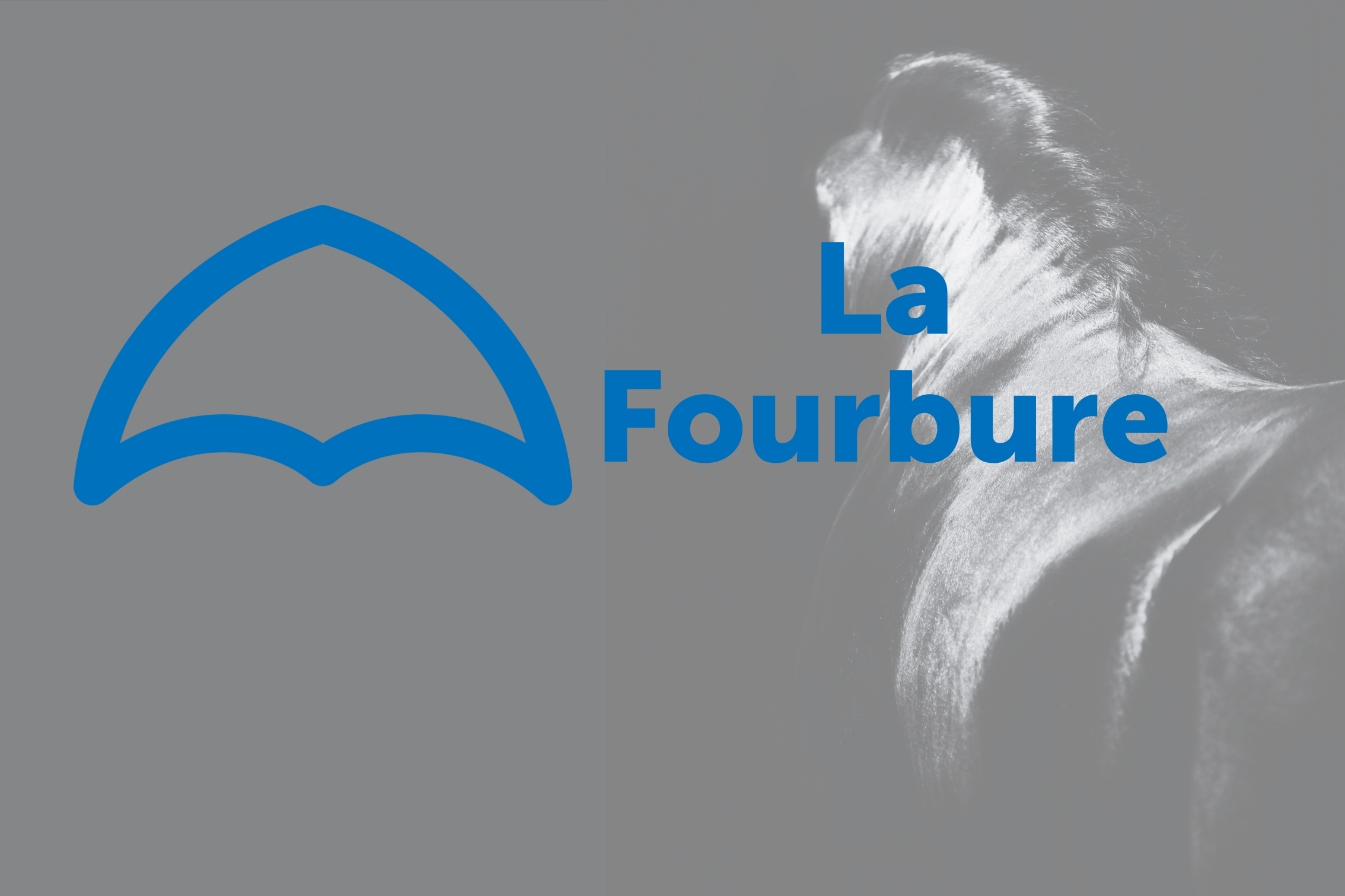 Fourbure