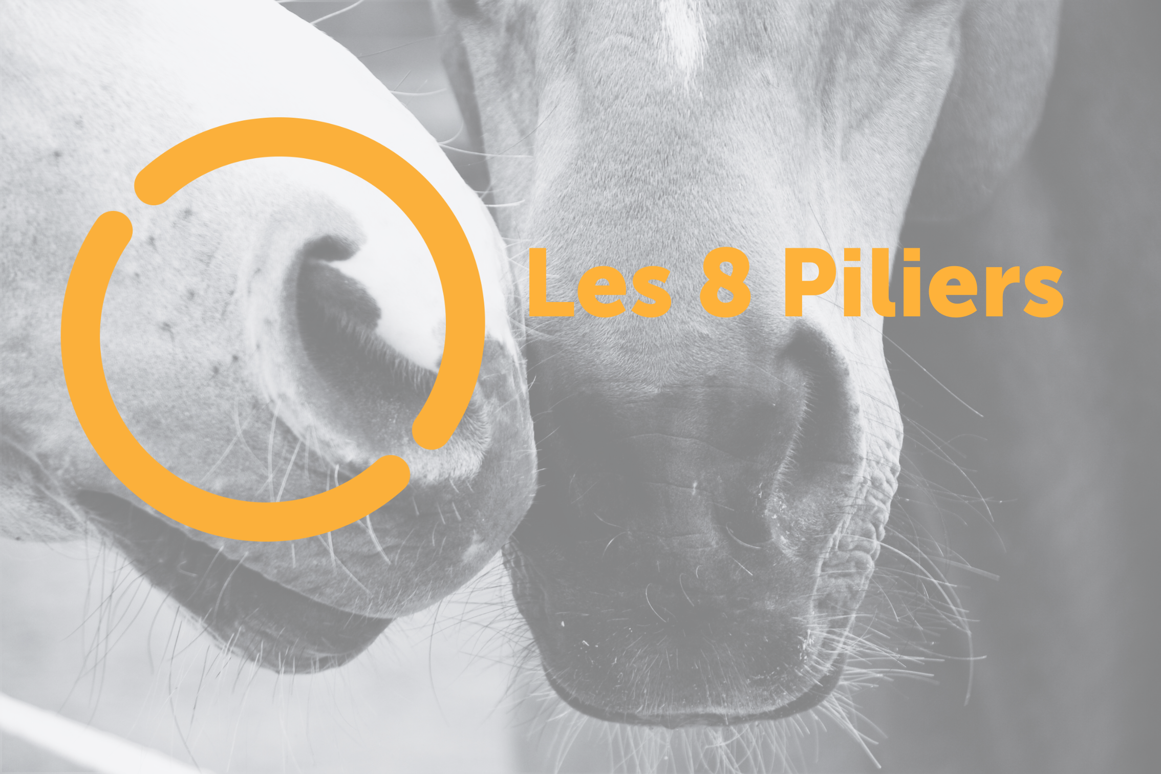 Les 8 piliers du Bien-être