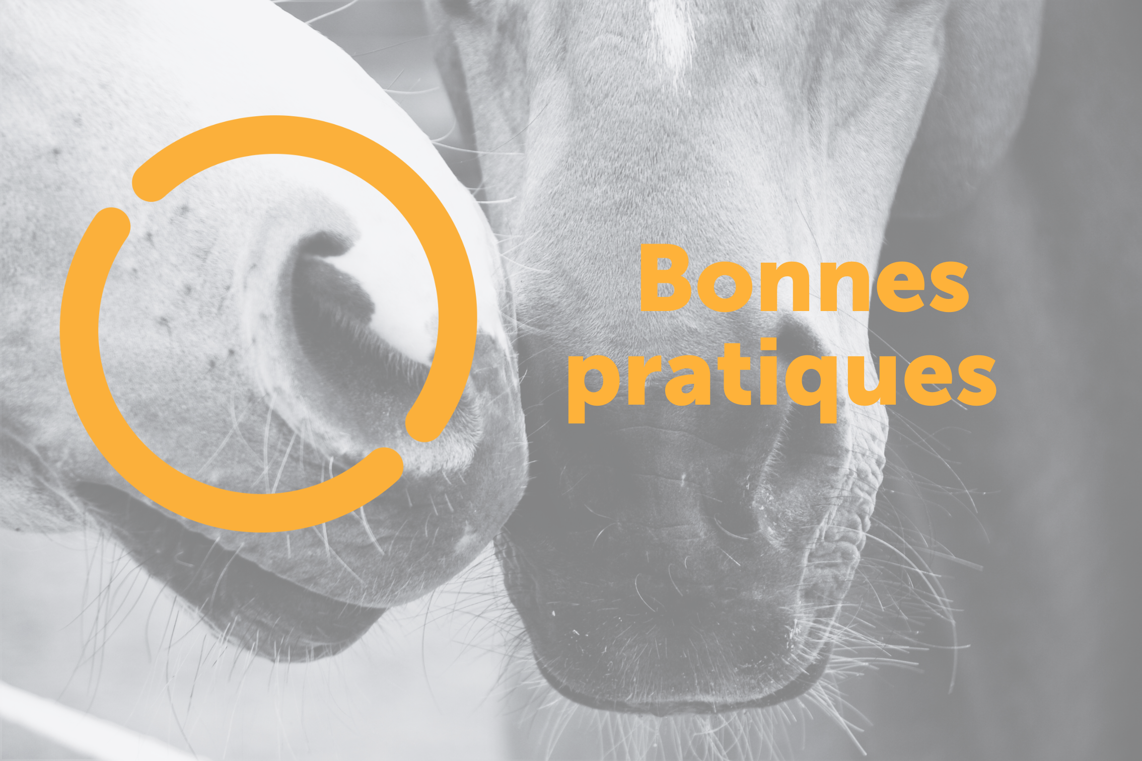 Bonnes pratiques