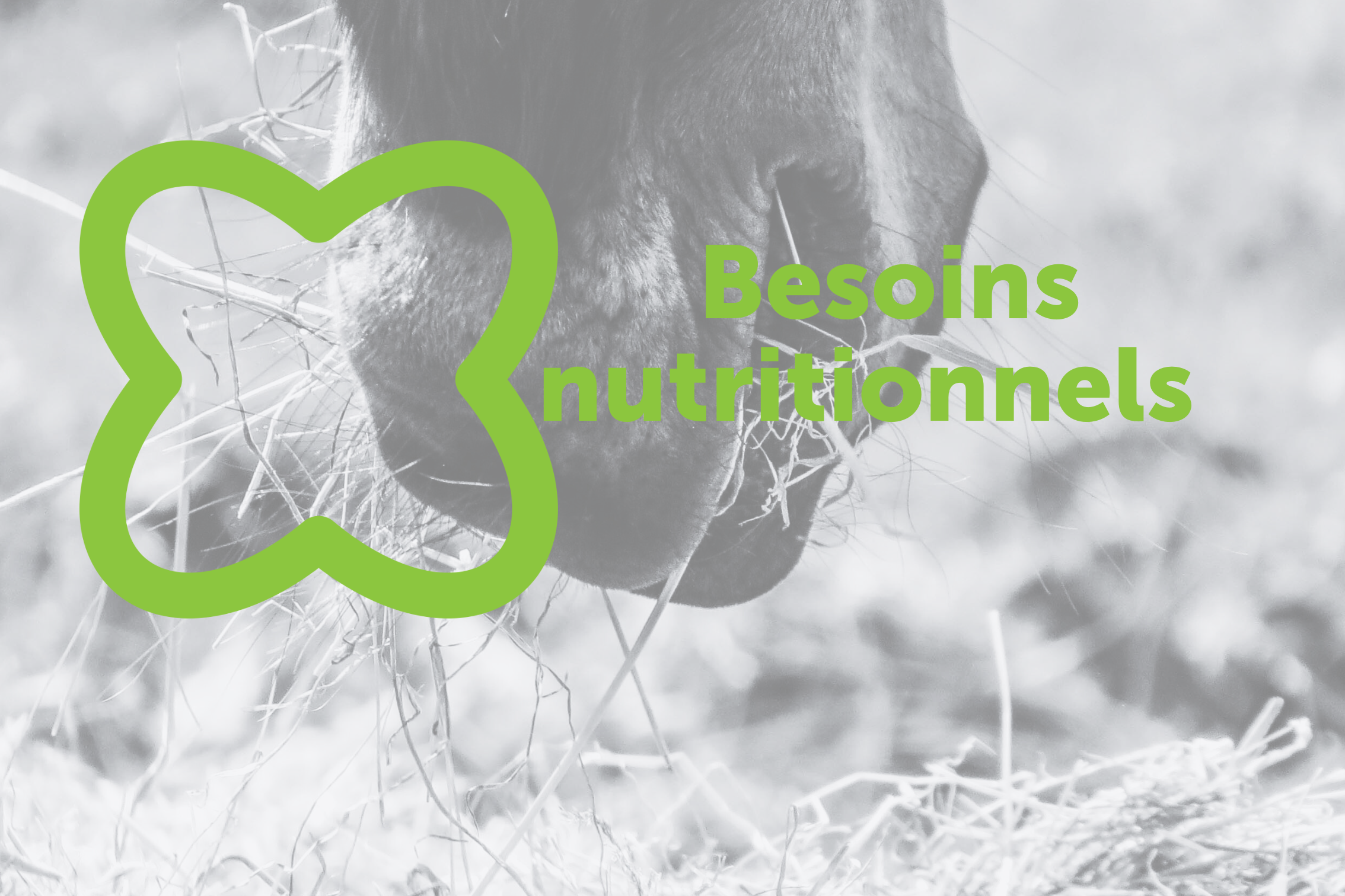 Besoins nutritionnels