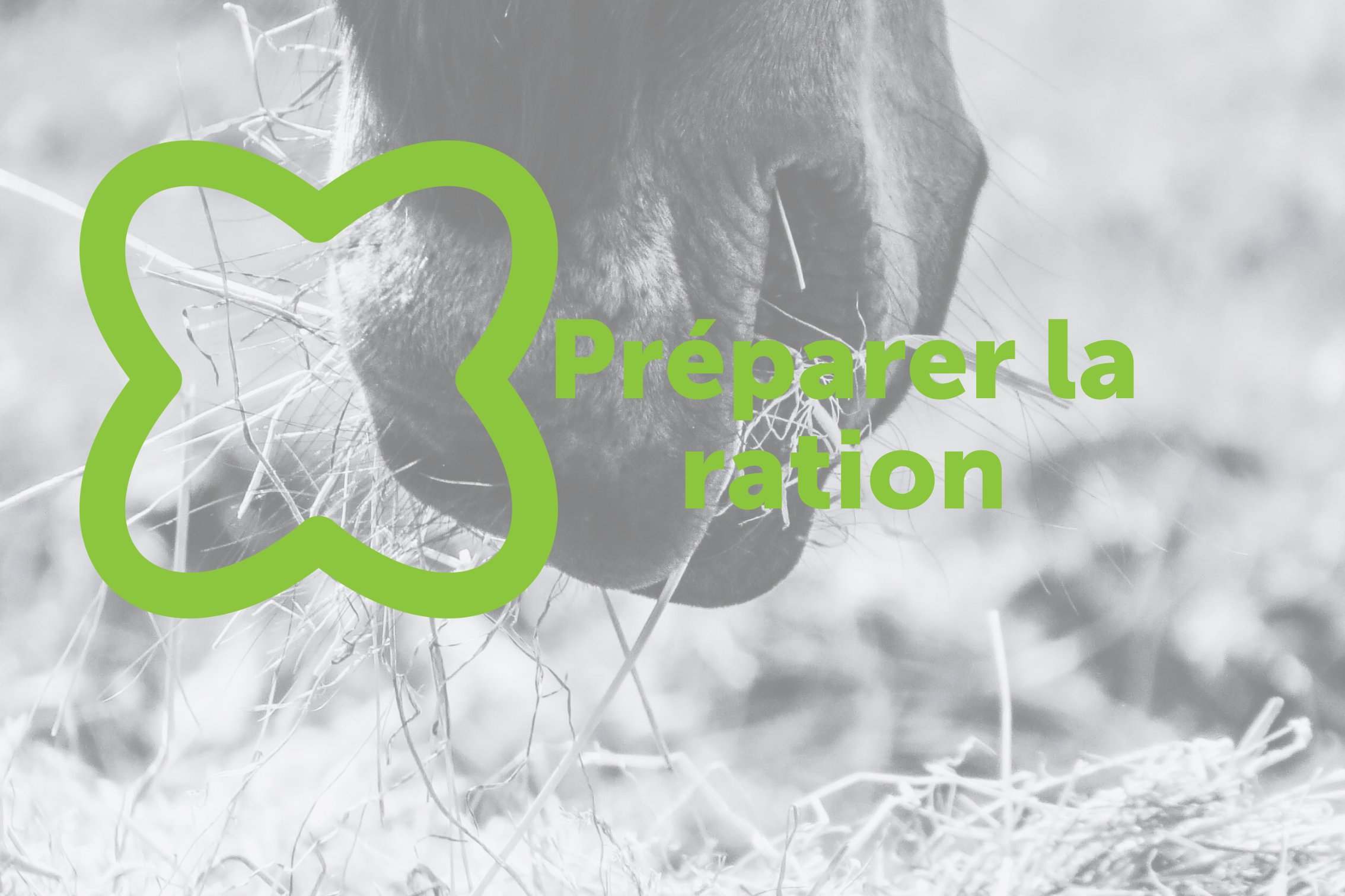 Comment préparer sa ration